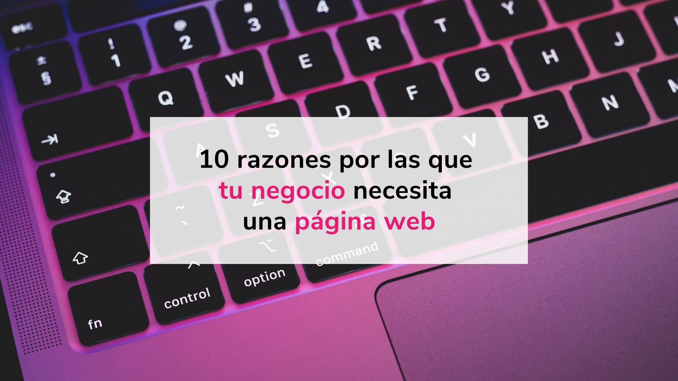 5 Razones Por Las Que Su Negocio Necesita Un Portal Cautivo – EXFNKL